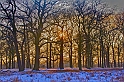 55 Richmond Park